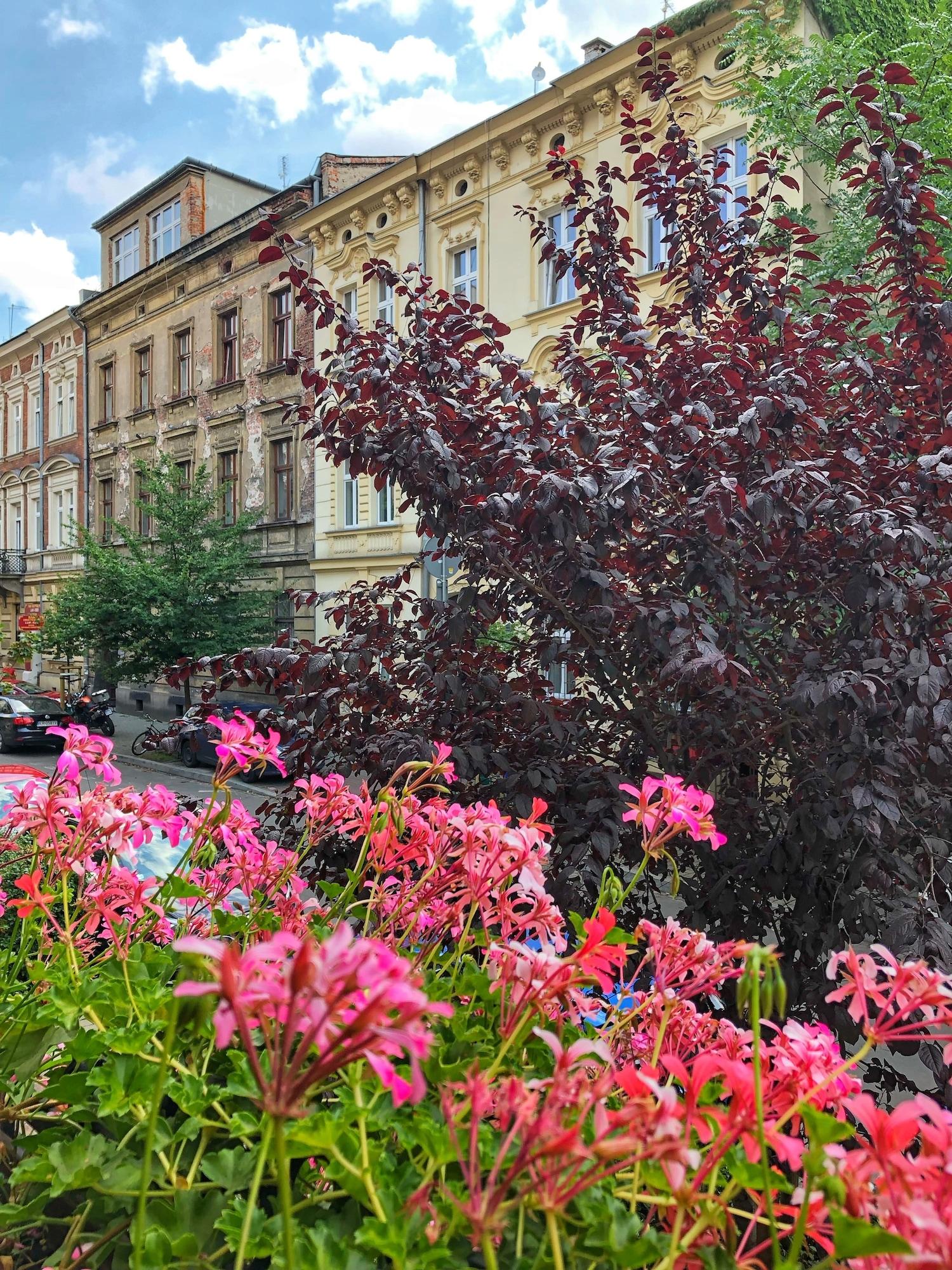 Cracowdays Apart otel Krakow Dış mekan fotoğraf